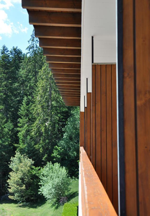 Hotel Historique Chez Elsy - Crans-Sapins Екстер'єр фото